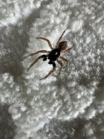 IMG_1550.jpeg