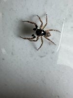 IMG_1545.jpeg