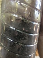 IMG_6518.jpeg