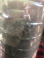 IMG_6516.jpeg