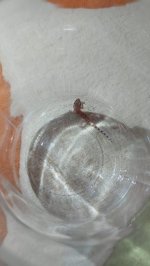 IMG-20240722-WA0014.jpg