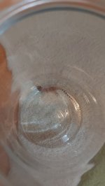 IMG-20240722-WA0013.jpg