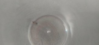 IMG_20220414_172044.jpg
