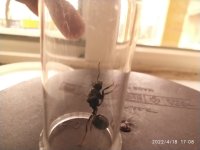 IMG_20220418_170827_1.jpg