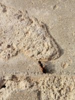IMG_20220422_182716.jpg
