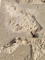 IMG_20220422_182712.jpg