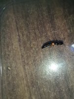 IMG_20220423_182228.jpg