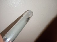 IMG_20220423_204745.jpg