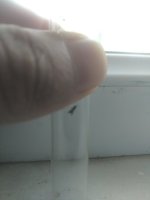 IMG_20220424_102816.jpg