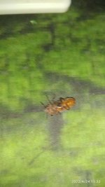 IMG_20220424_113223.jpg