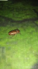 IMG_20220424_113154_1.jpg