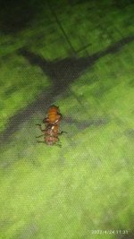 IMG_20220424_113128.jpg