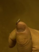 IMG_6578.jpeg