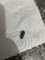 IMG_2445.jpeg