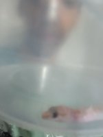 1000035503.jpg