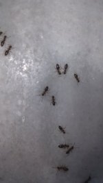IMG-20240804-WA0026.jpeg