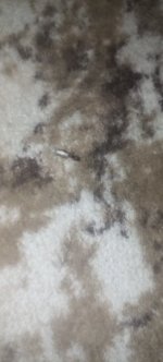 IMG_20240804_212011.jpg