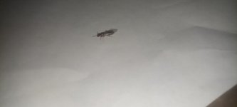 IMG_20240804_222848.jpg