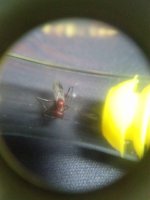 WhatsApp Görsel 2024-08-05 saat 19.31.54_658f0246.jpg