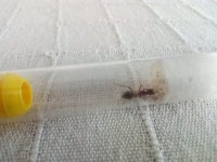 WhatsApp Görsel 2024-08-05 saat 19.31.55_63b2bba4.jpg