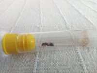 WhatsApp Görsel 2024-08-05 saat 19.31.55_2712ac7b.jpg