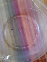 20240810_161518.jpg