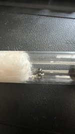 IMG_1578.jpeg