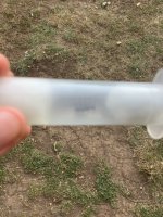IMG_1684.jpeg
