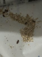 IMG_6092.jpeg