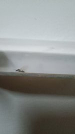 IMG_20240818_205304.jpg