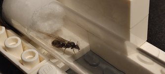 IMG_20240818_221744.jpg