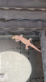 IMG_0892.jpeg