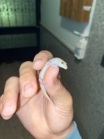 IMG_0903.jpeg