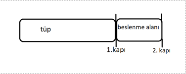 icadım olan tüp artı beslenme alanı.png