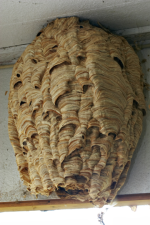 resim_2024-08-27_224947471.png