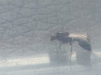 IMG_6708.jpeg