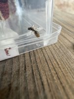 IMG_6726.jpeg