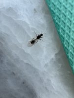 IMG_6731.jpeg
