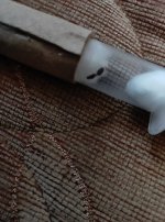 IMG_20240926_173444.jpg