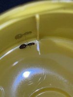 IMG_1922.jpeg