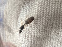 IMG_2537.jpeg