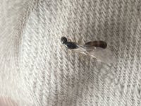 IMG_2534.jpeg