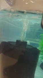IMG-20241018-WA0019.jpeg