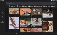 Screenshot_20241019-172517_Google.jpg