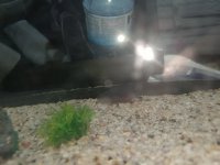 IMG_20250202_225033.jpg