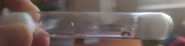 20250206_161624.jpg