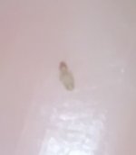 IMG_20250207_000949.jpg
