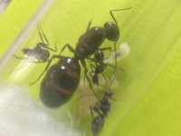 IMG_0686.jpeg