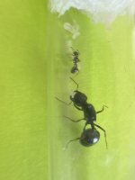 IMG_0691.jpeg