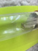 IMG_0697.jpeg